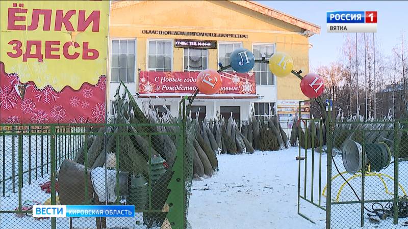 В Кирове открылись елочные базары