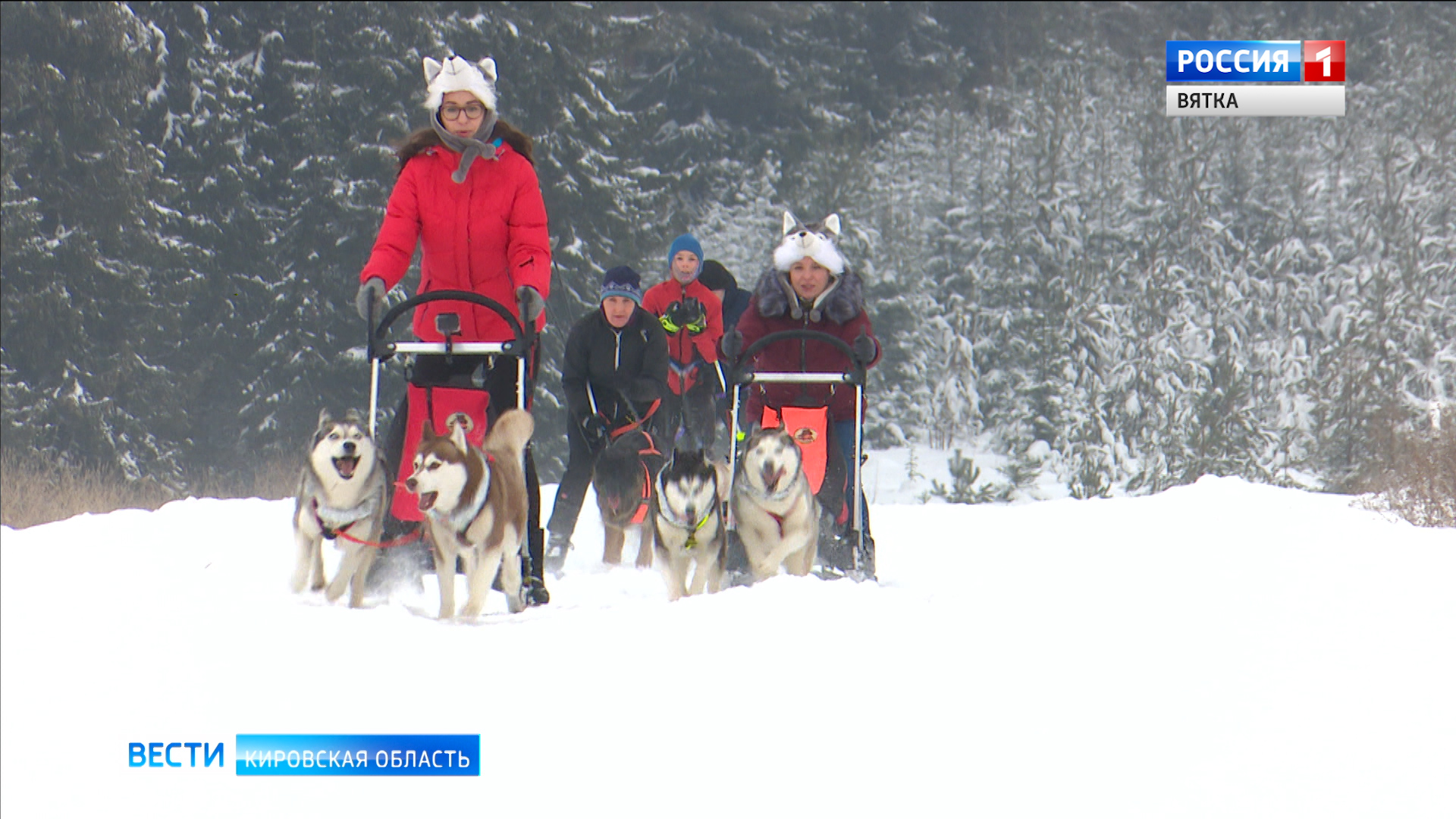 Кировские собаководы готовятся к гонкам на собачьих упряжках