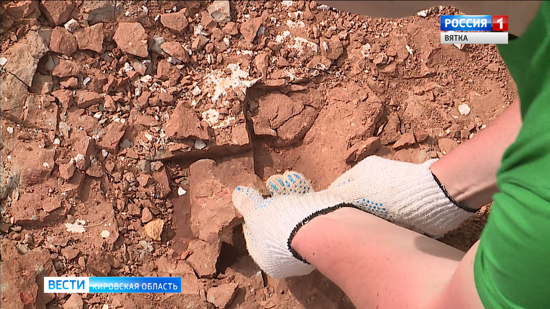 Вятские парейазавры вошли в энциклопедию Русского географического общества