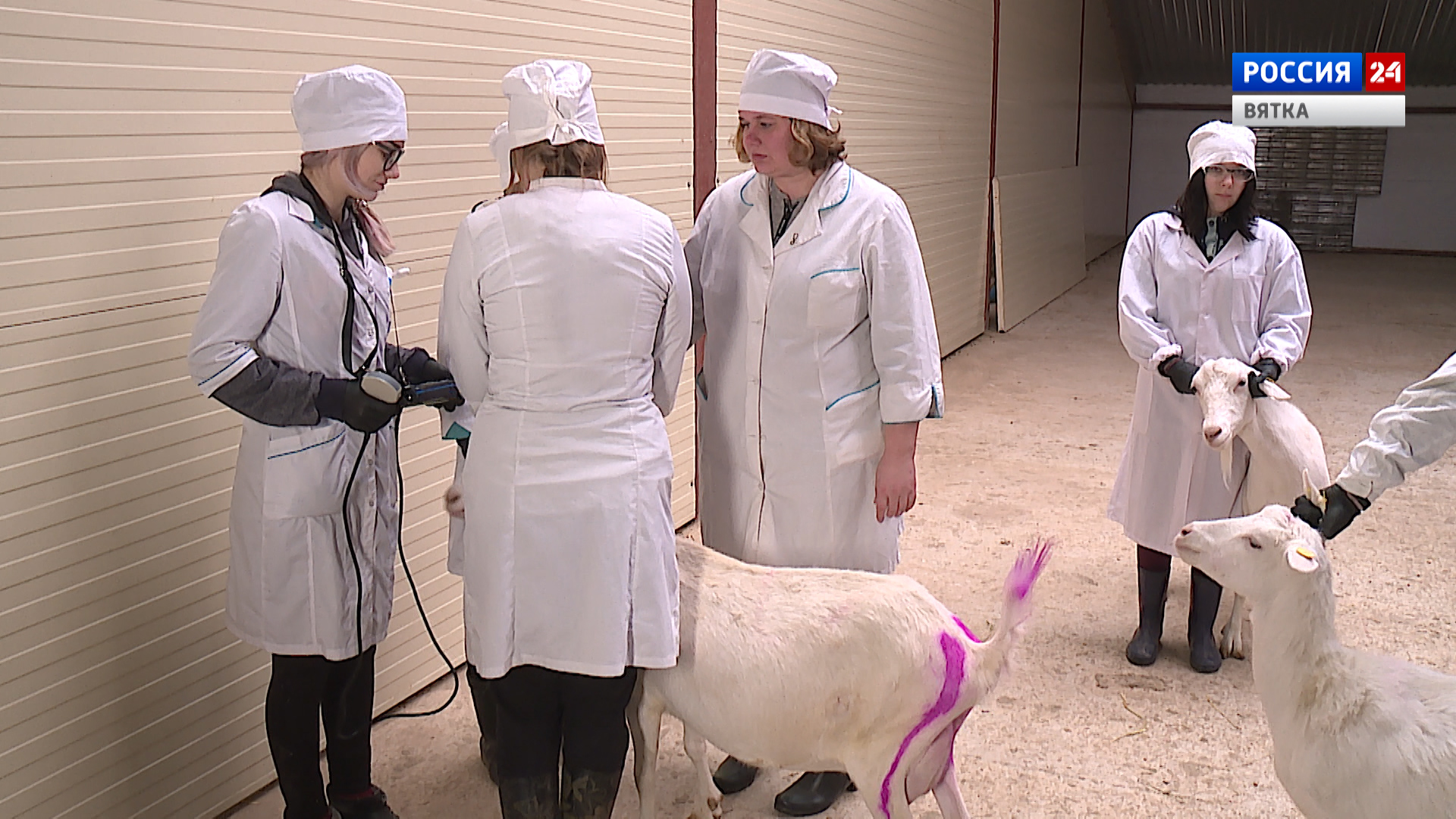 Вести. Агро (18.02.2021)