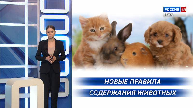 Вести. Право (25.02.2021)