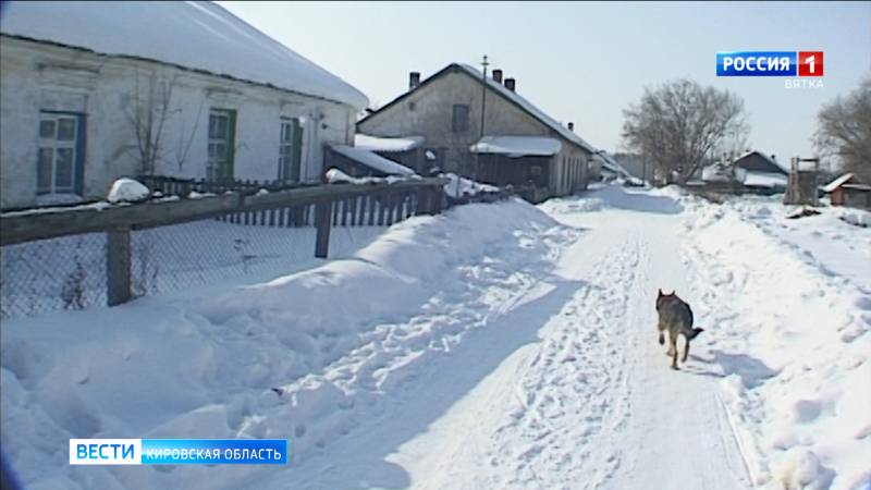 В Арбажском районе зафиксировали случай бешенства