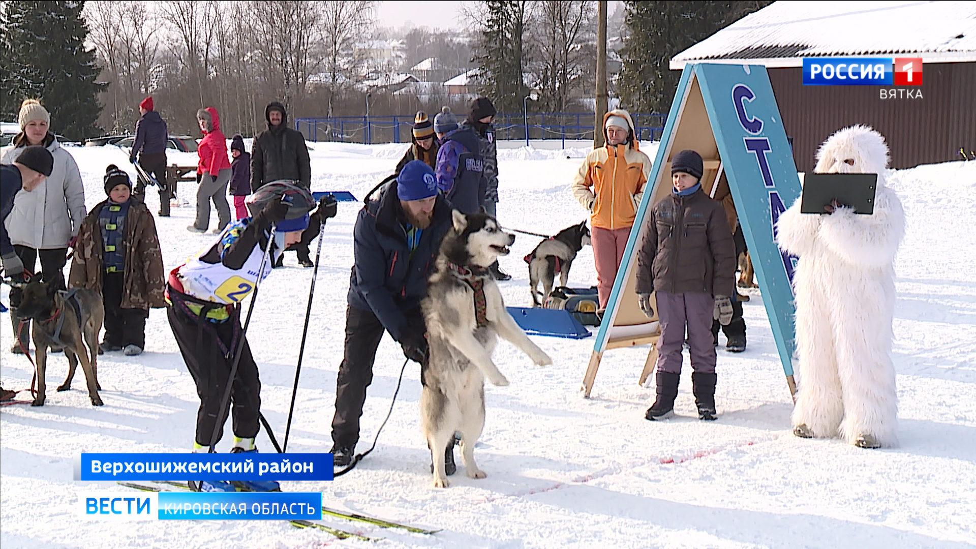 В Верхошижемье прошли зимние гонки на собачьих упряжках