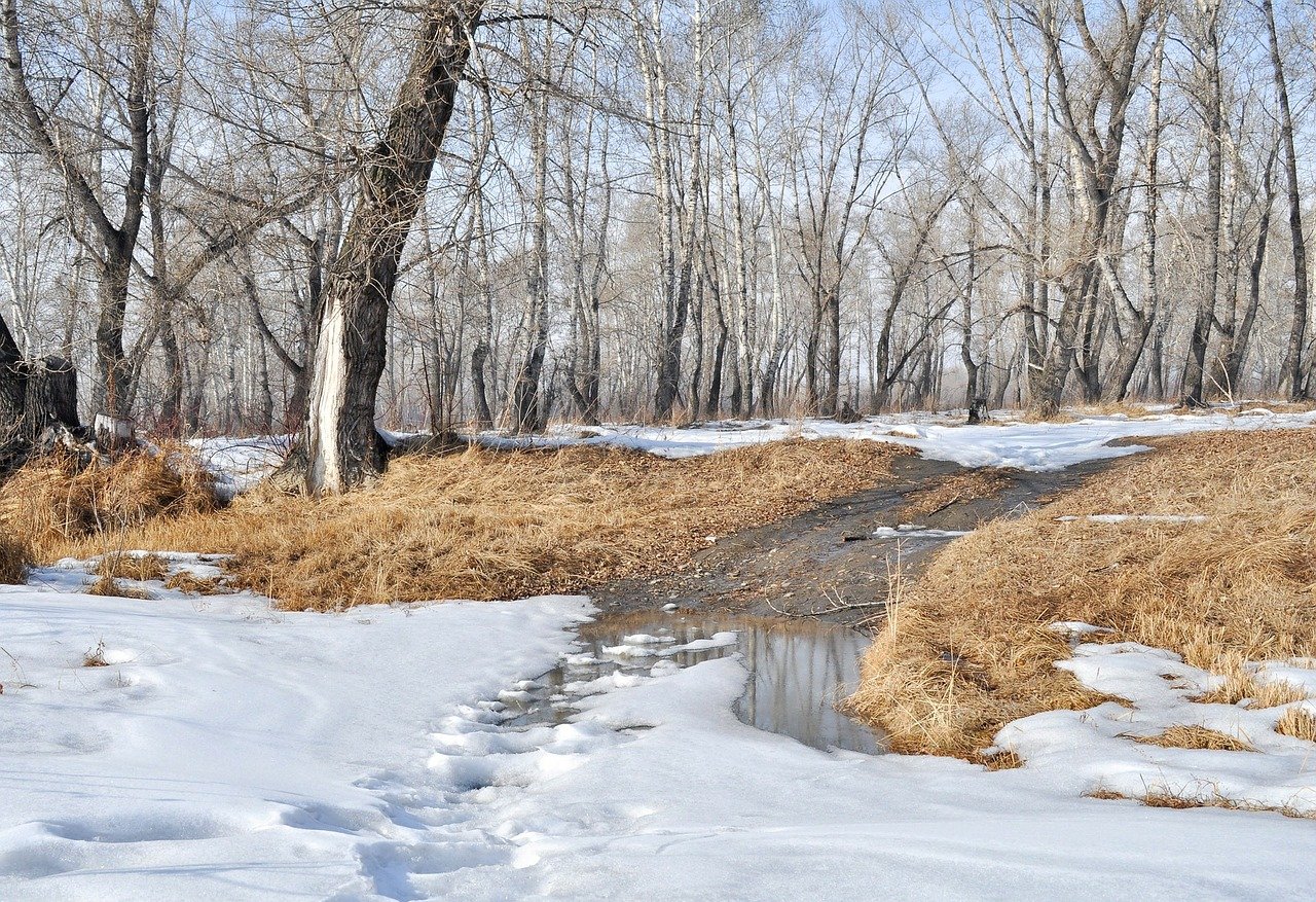 В Кировской области на неделе ожидается оттепель