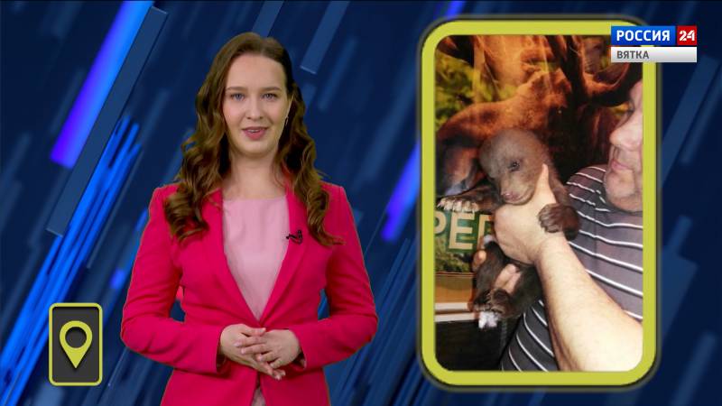 Мобильный репортер (12.03.2021)