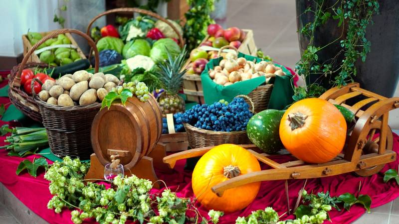 Доктор Мясников назвал продукты, которые помогут прожить до 100 лет