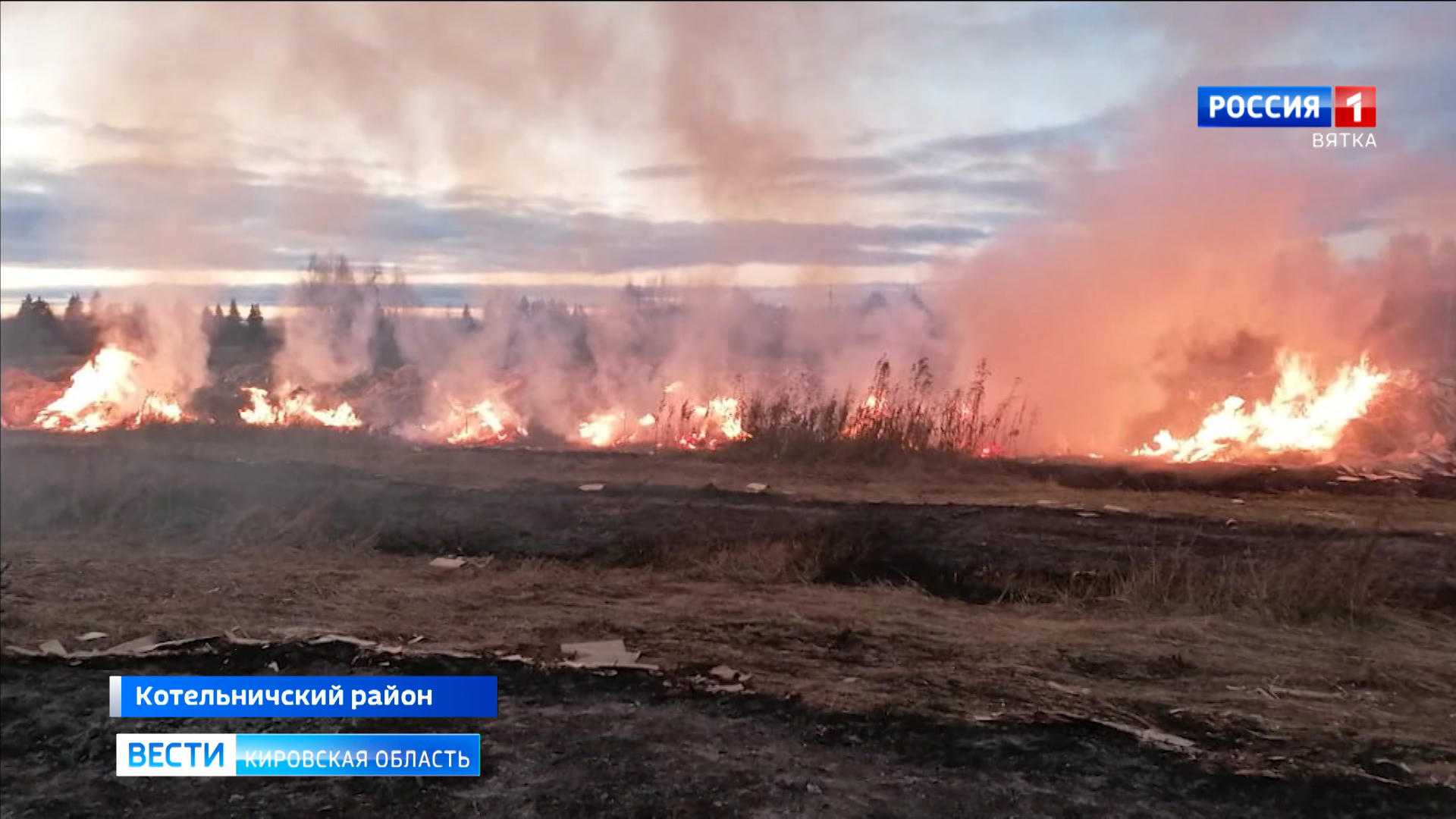В Котельниче следователи проверят причины пожара на свалке древесных отходов