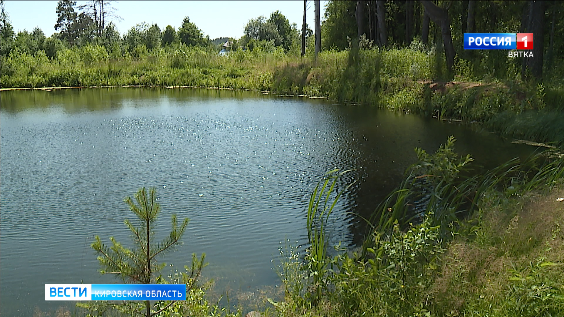 В Малмыжском районе во время купания утонул мужчина