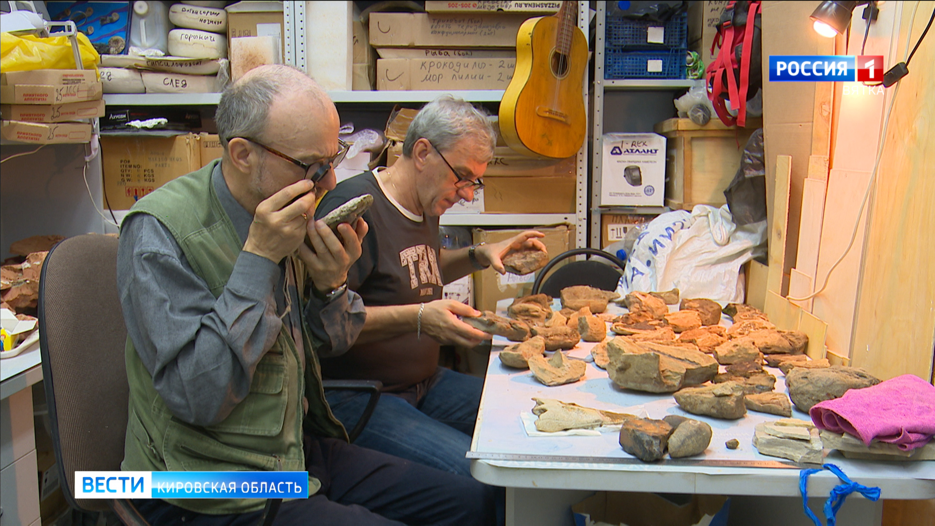 В Киров приехали эксперты-палеонтологии из Москвы