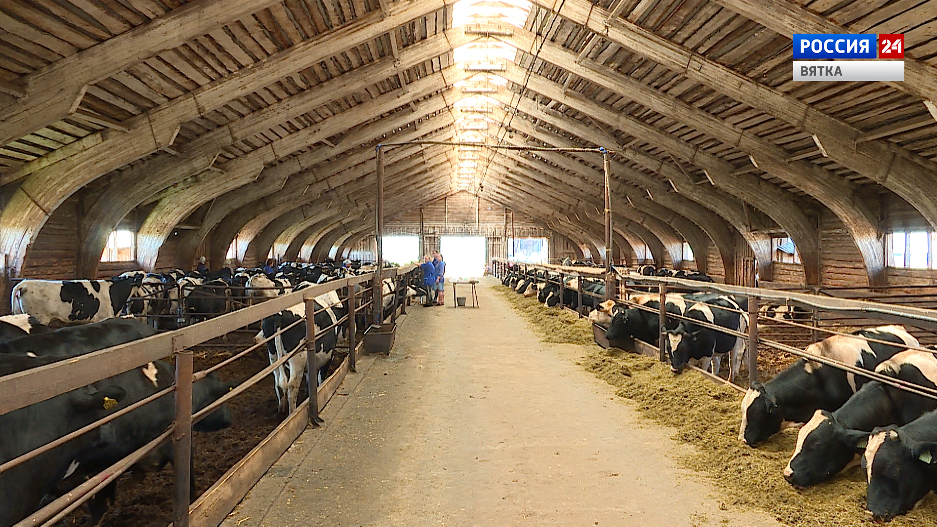 Губерния (26.05.2021)