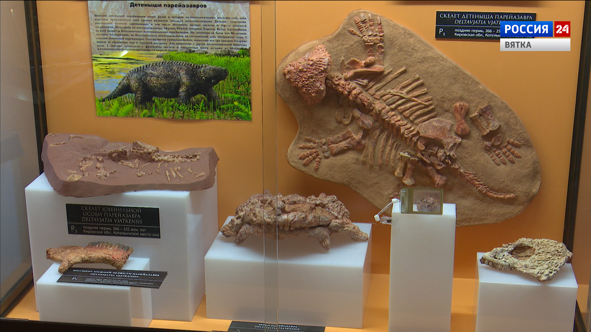 Вести. Киров (Россия 24) 27.05.2021