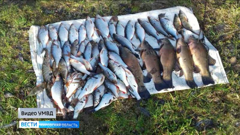 В Оричевском районе полицейские пресекли два факта незаконного вылова рыбы