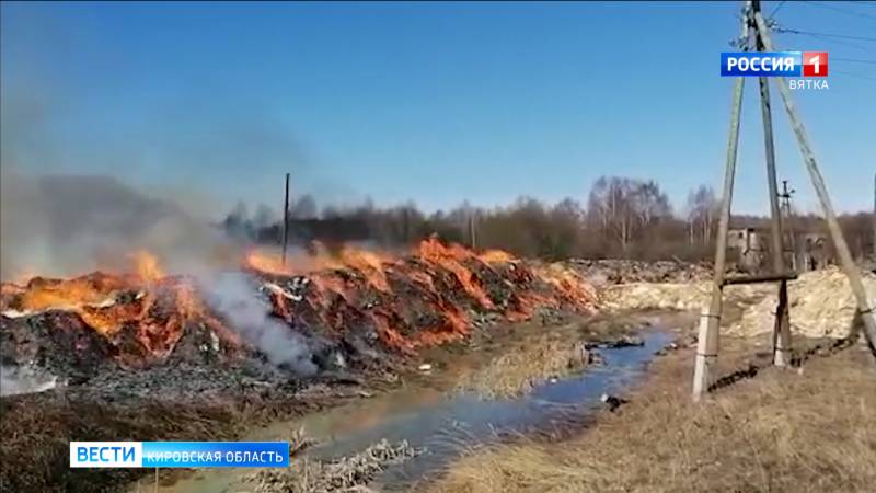Следком возбудил второе дело по факту свалки опила под Котельничем