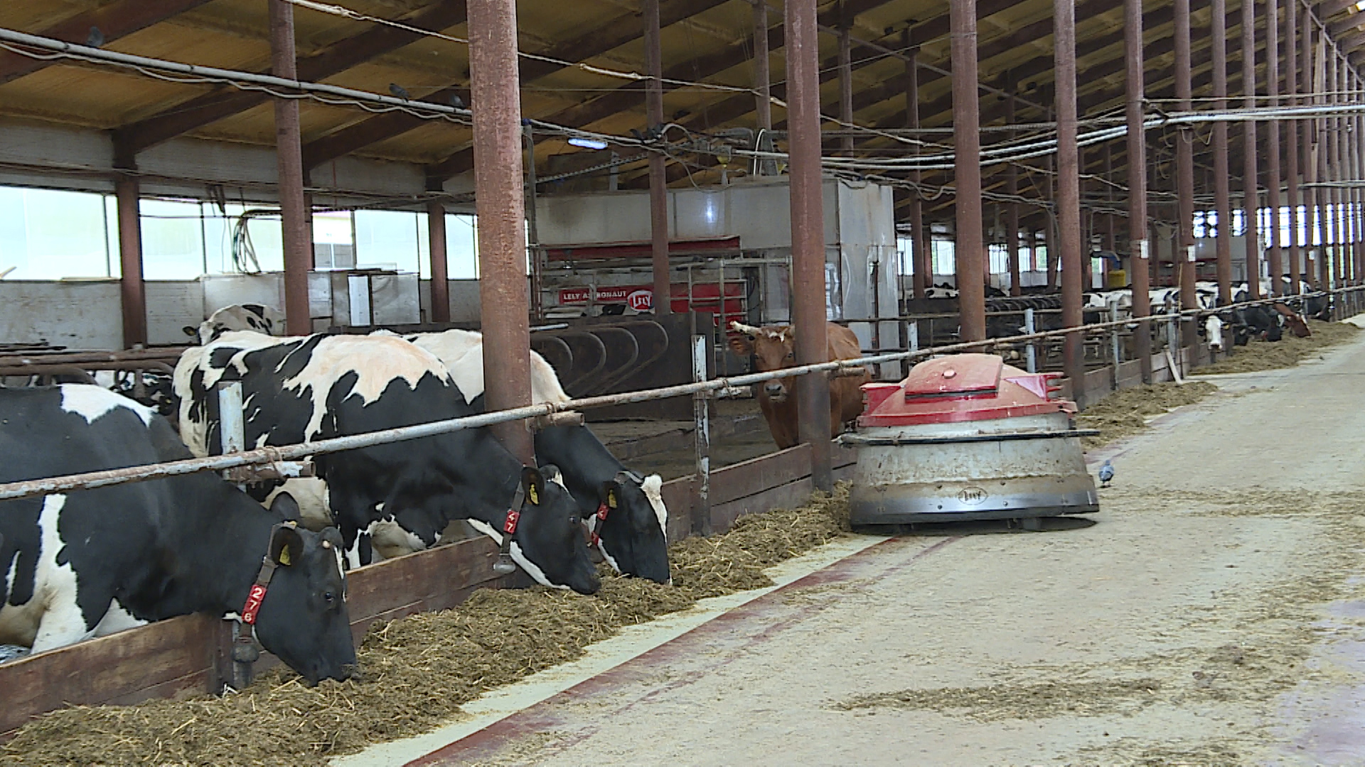 Вести. Агро (17.06.2021)