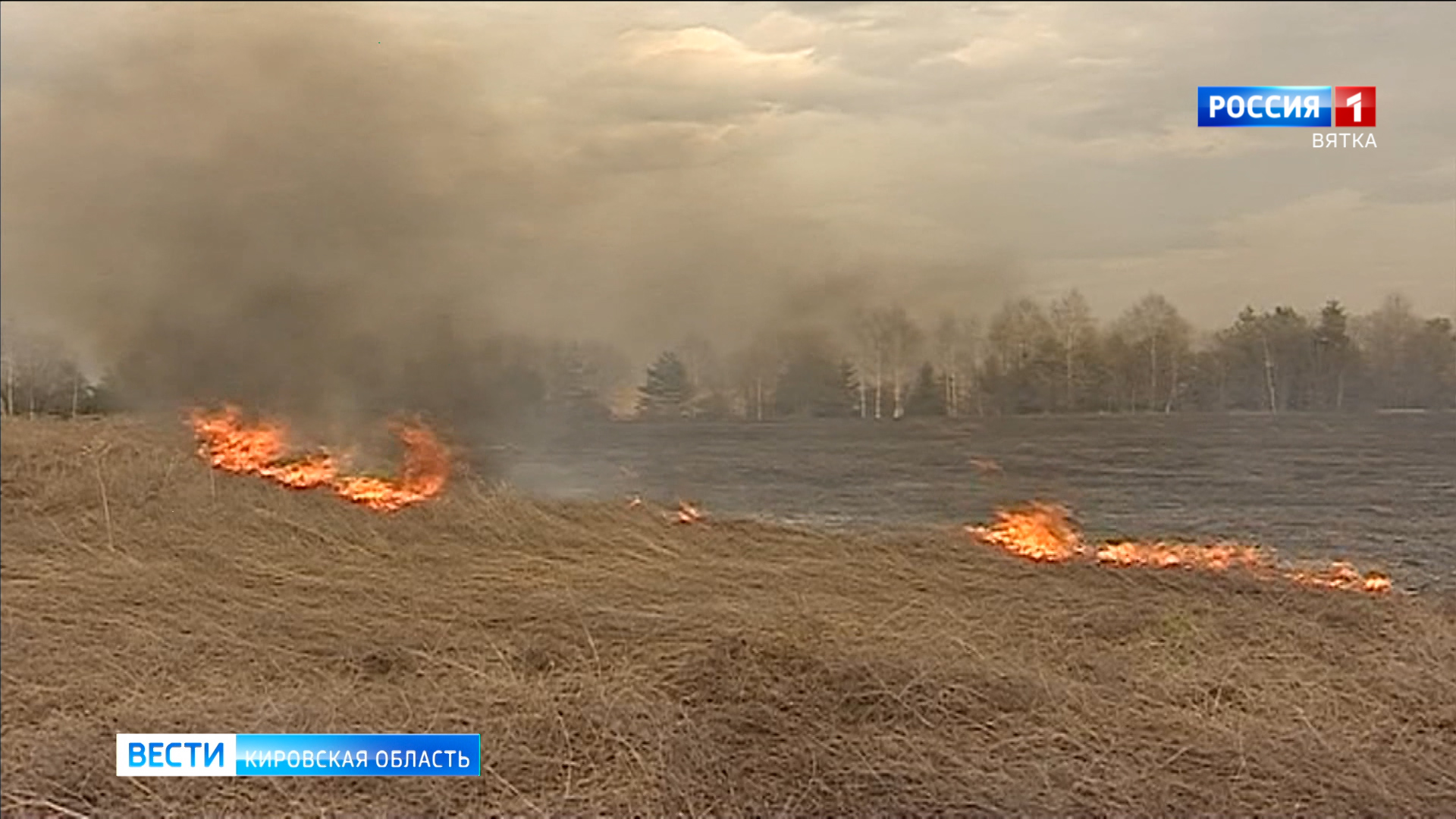 Кировская область получит 10 млн рублей на авиапатрулирование лесов