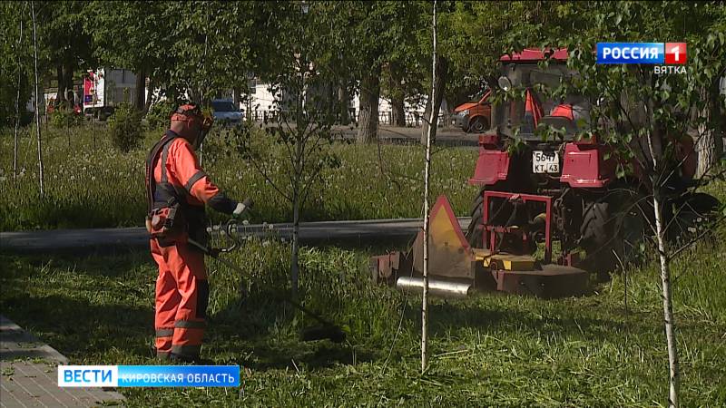 В Кирове выкосили 65% травостоя