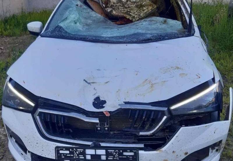 В Кировской области автомобиль столкнулся с лосем