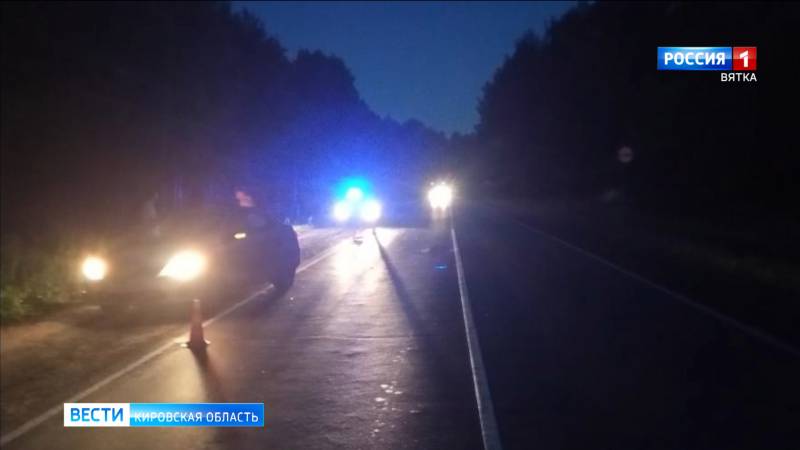 В Кирово-Чепецком районе водитель легкового автомобиля сбил лося