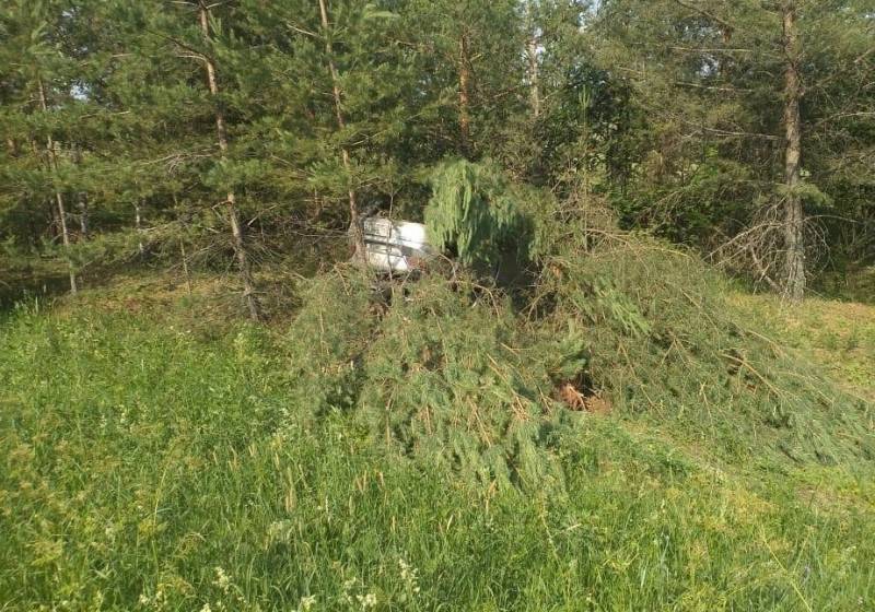 В Оричевском районе в ДТП пострадала пожилая женщина