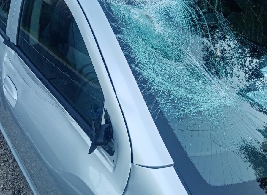 В Верхошижемском районе водитель совершил наезд на лося