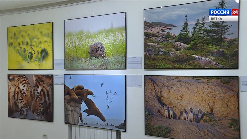 В кировской «Галерее прогресса» открылась фотовыставка «Первозданная Россия»