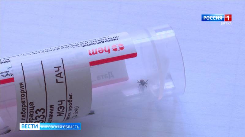 В Кировской области 2 734 детей пострадали от укусов клещей