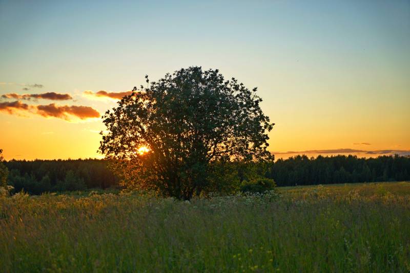 В Кировской области прогнозируют небольшое понижение температур
