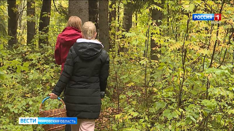 Кировчанам рассказали о правилах поведения в лесу, чтобы не заблудиться