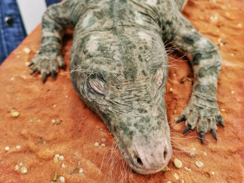 Скульптор из Москвы воссоздал образ древнего ящера, обитавшего на территории Кировской области