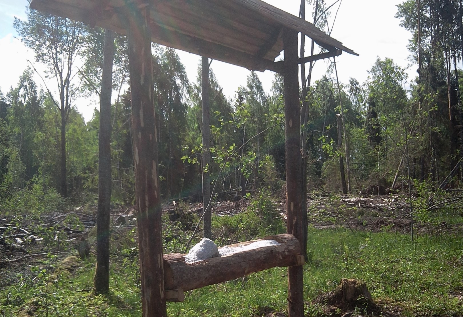 Кировские охотники выполнили 65 заданий министерства охраны окружающей среды