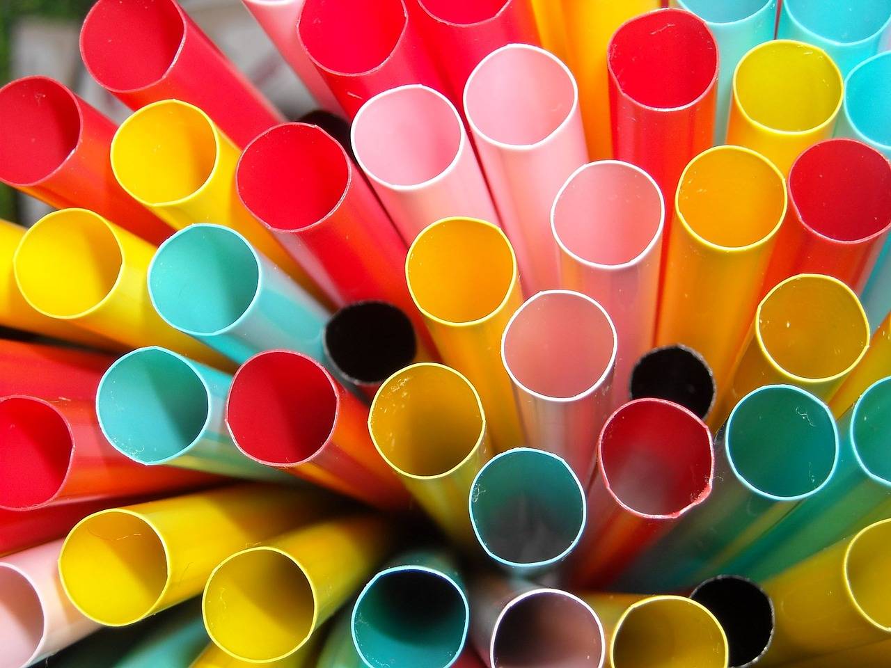 Минприроды предлагает запретить использование 28 одноразовых товаров в России