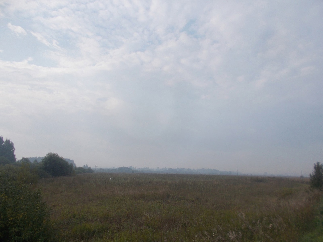 В Кировскую область пришел дым от пожара в Марий Эл