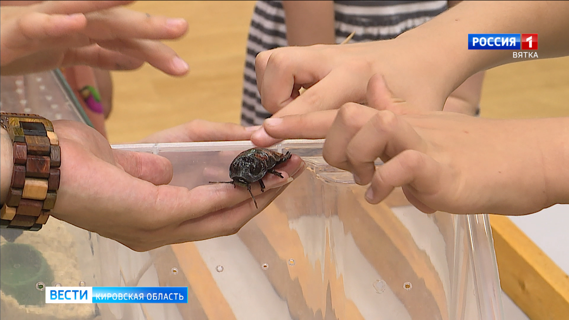 Экологический праздник прошёл в краеведческом музее Кирова