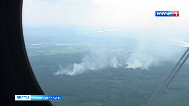 За сутки в Кировской области зарегистрировано 3 лесных пожара