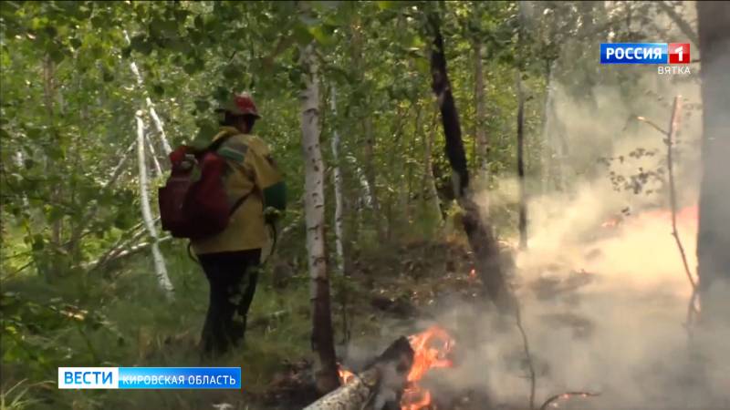 В Кирово-чепецком районе зафиксировано 2 лесных пожара
