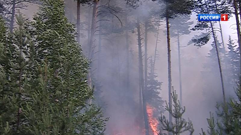 В Кирово-Чепецком районе горит более 6 гектаров леса
