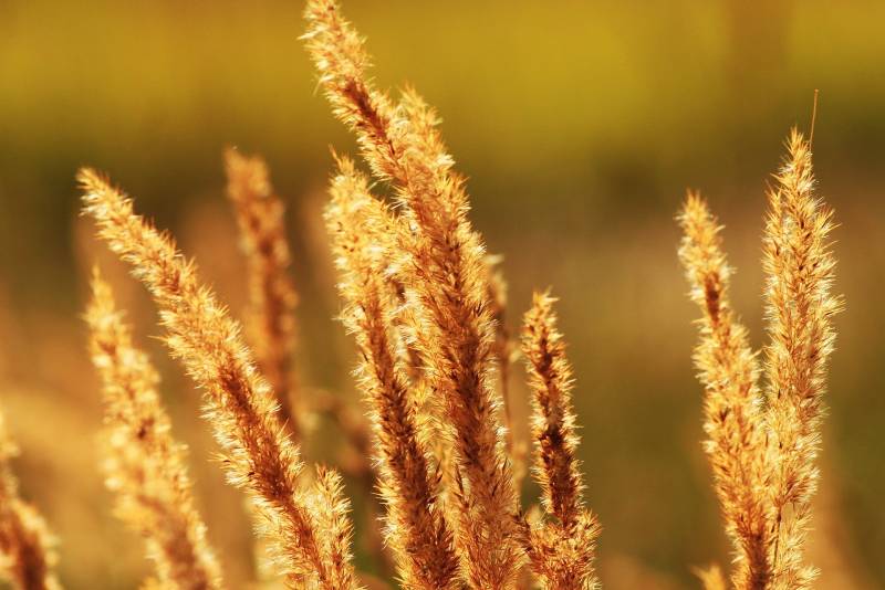 В среду воздух в Кировской области прогреется до  33 градусов