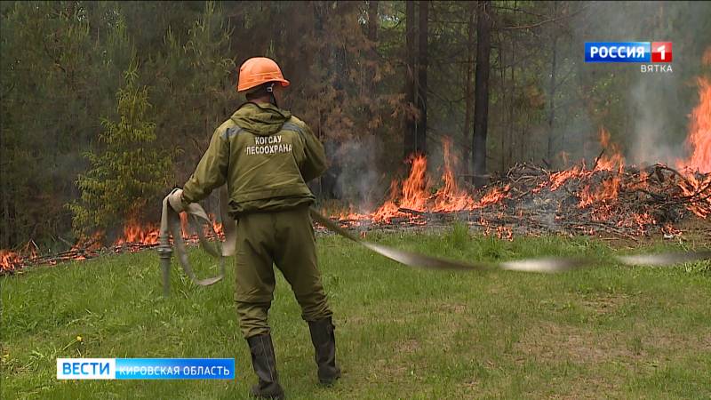В Кировской области действует шесть лесных пожаров