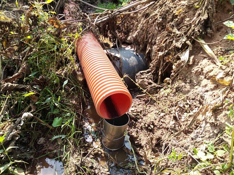 В Кировской области проверили информацию о гибели рыбы в реке Мостовице