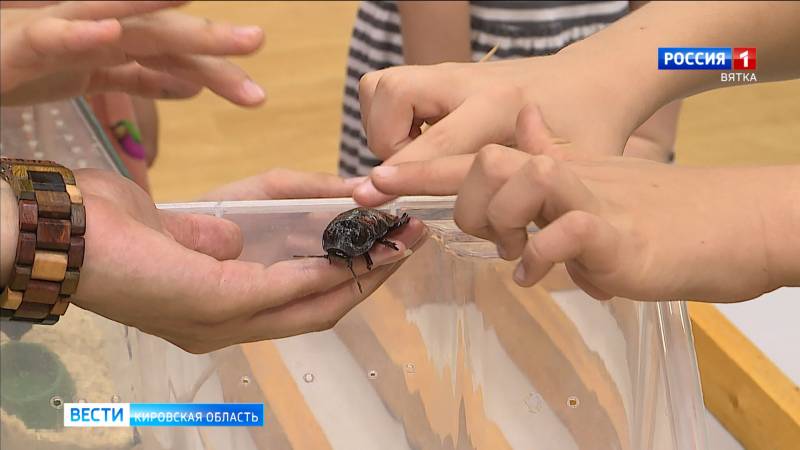 Экологический праздник прошёл в краеведческом музее Кирова