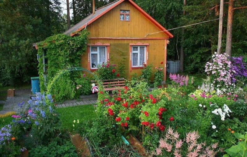 Кировчанам рассказали, как защитить дачу от пожара