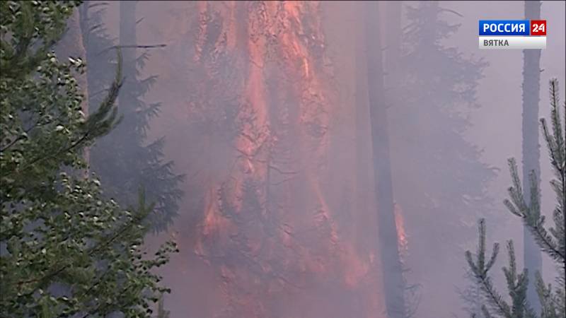 В Котельничском лесничестве на площади 8 гектаров произошел пожар