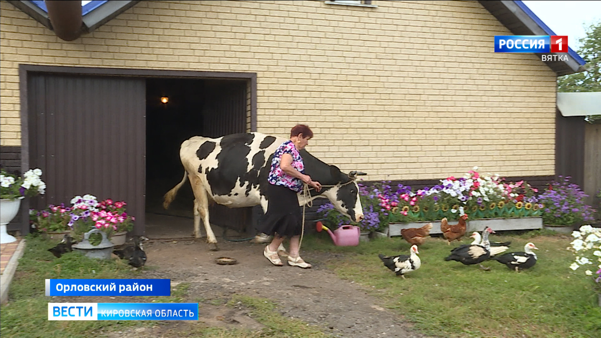 В Кировской области  подошла к завершению сельскохозяйственная микроперепись