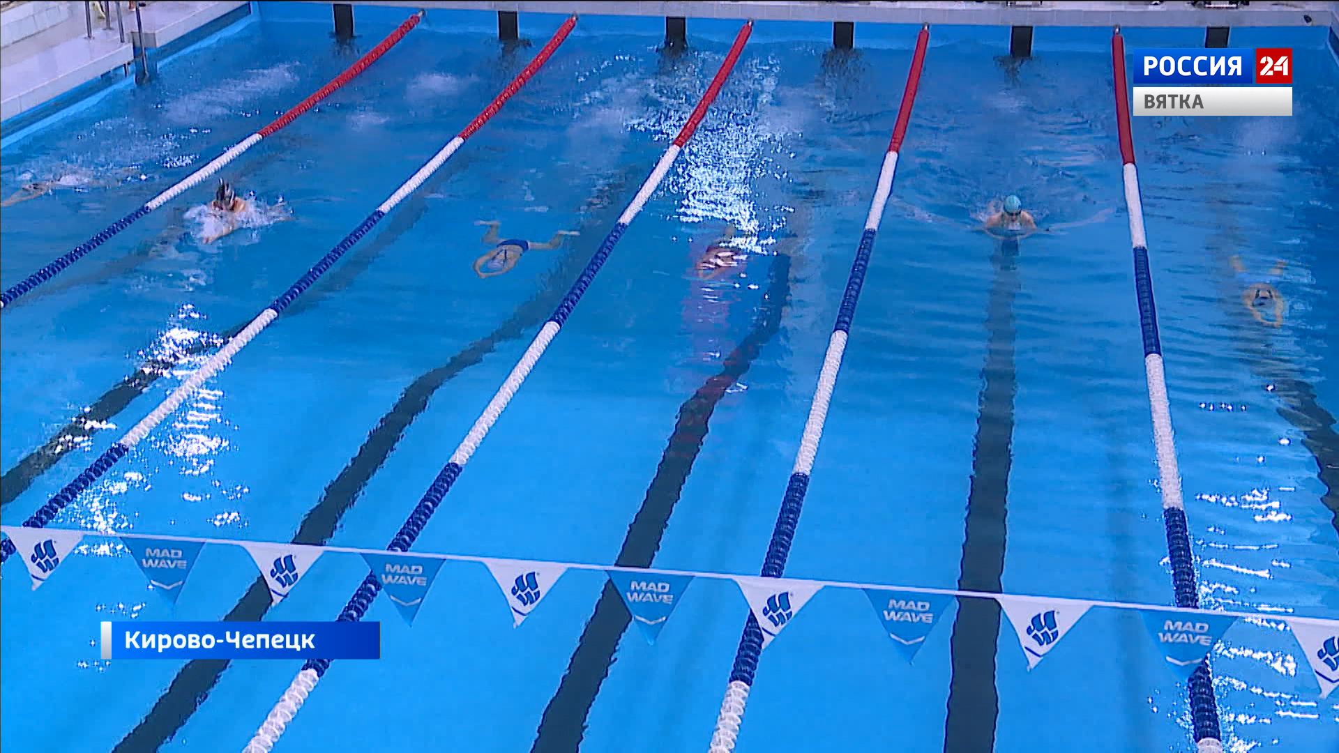 В «Олимпии» разыграны награды областного чемпионата и первенства по плаванию
