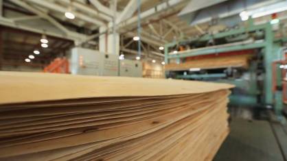 В Кирове  работнику лесопилки зажало ноги конвейером