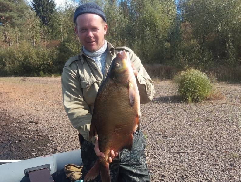 В Кировской области на реке Великая пойман огромный лещ