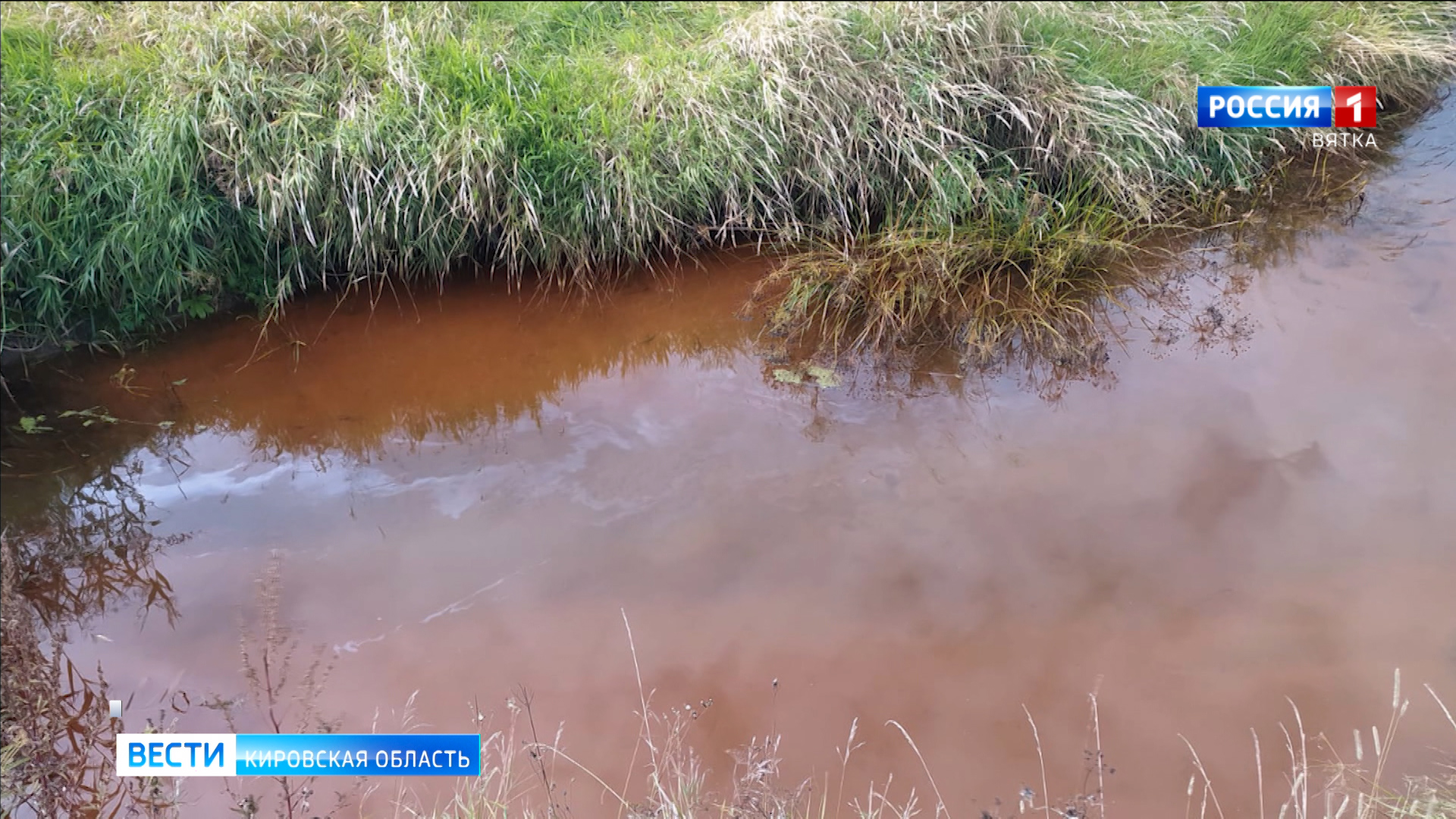 Мурыгинское предприятие заплатит штраф за загрязнение реки Медянки