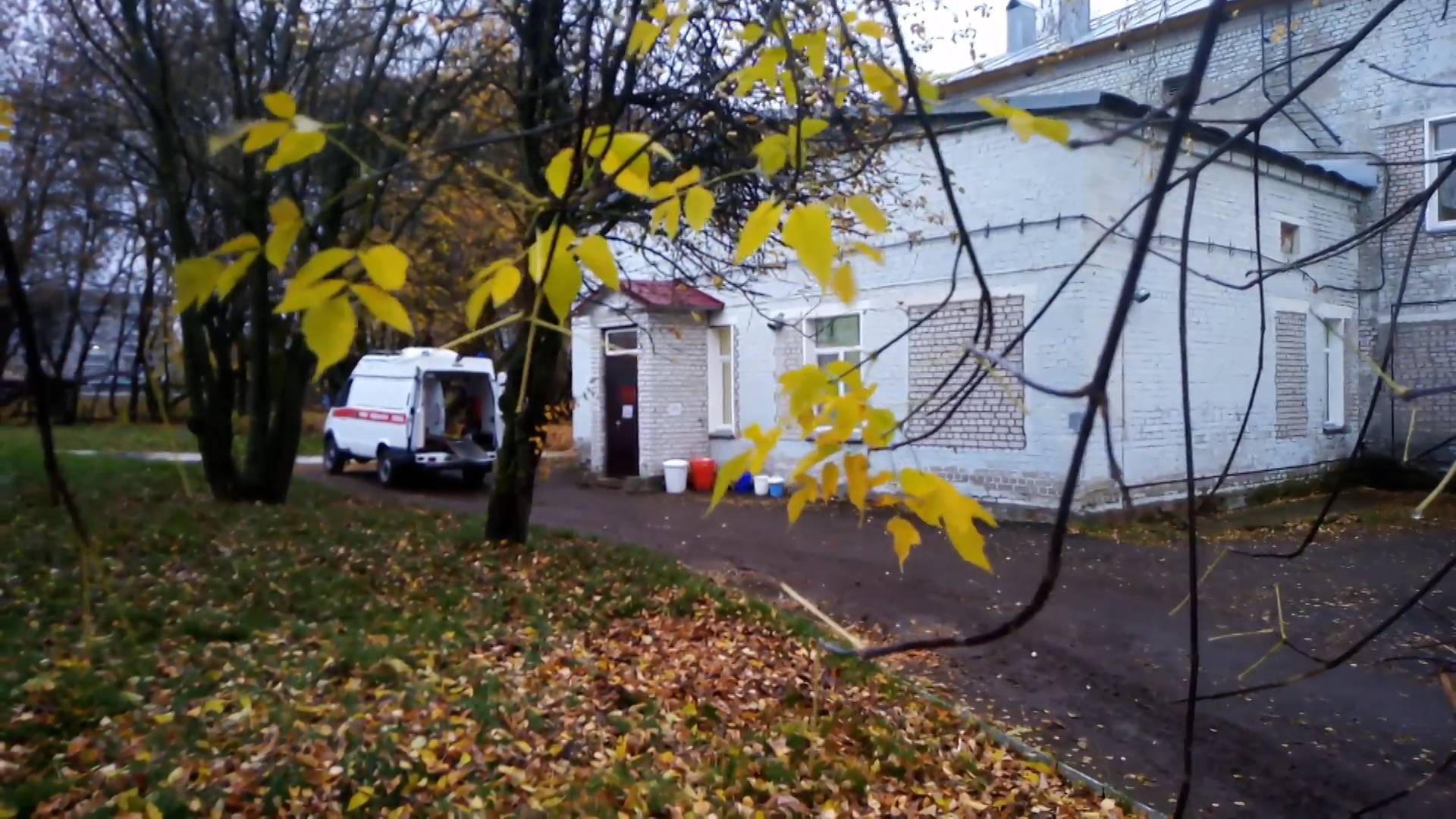 За сутки в Кировской области выявили 131 случай коронавируса