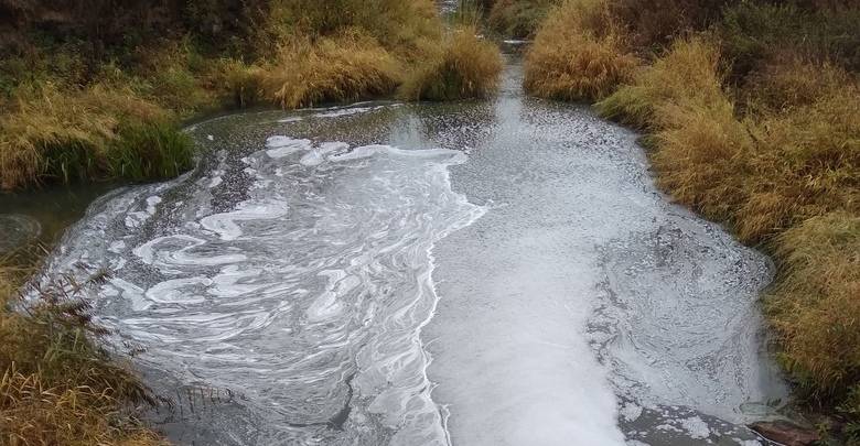 В Котельничском районе реку Куринку превратили в молочный водоем