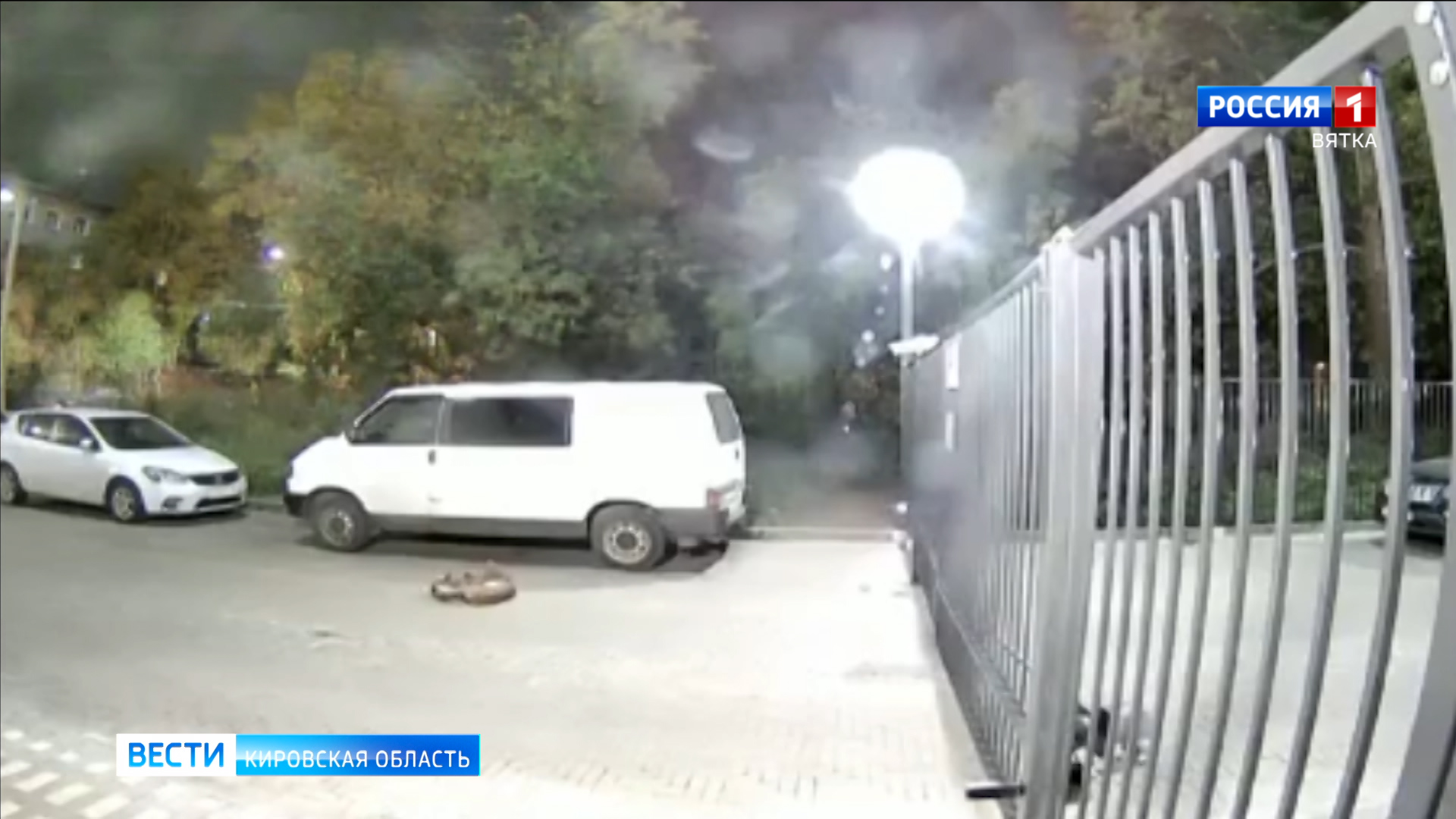 В Министерстве охраны окружающей среды Кировской области прокомментировали ситуацию с рысью в городе